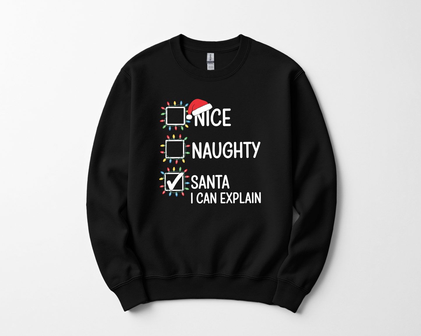 Nice Naughty Santa I Can Explain