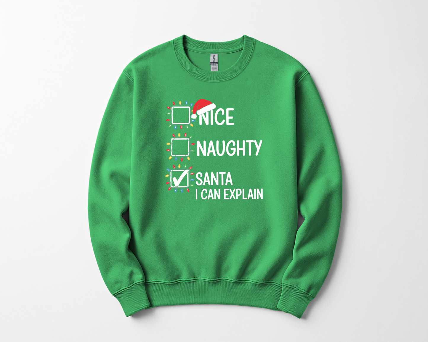 Nice Naughty Santa I Can Explain