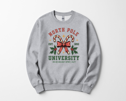 North Pole University
